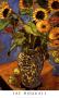 Sunflowers by Jae Dougall Limited Edition Print