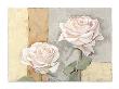Two White Roses by Marita Stock Limited Edition Pricing Art Print