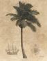 Windswept Palm by T. C. Chiu Limited Edition Print