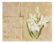 Madonna Lily by Anita Reed-Davis Limited Edition Pricing Art Print