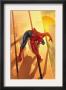 Spider-Man Unlimited #12 Cover: Spider-Man by Salvador Larroca Limited Edition Print