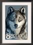 Sequoia Nat'l Park - Wolf Up Close - Lp Poster, C.2009 by Lantern Press Limited Edition Pricing Art Print