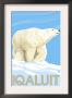 Iqaluit, Canada - Polar Bear, C.2009 by Lantern Press Limited Edition Print
