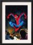 The Amazing Spider-Man #518 Cover: Spider-Man by Mike Deodato Jr. Limited Edition Pricing Art Print