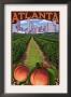 Atlanta, Georgia - Peaches, C.2009 by Lantern Press Limited Edition Print