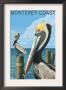 Monterey Coast, California - Pelicans, C.2009 by Lantern Press Limited Edition Print
