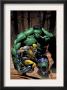 Incredible Hulk #80 Cover: Wolverine And Hulk by Lee Weeks Limited Edition Print