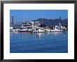 Boats In Marina, San Francisco, Ca by Daniel Mcgarrah Limited Edition Print