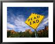 Road Sign, Dead End by James Lemass Limited Edition Print