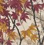 Maple Story Ii by Melissa Pluch Limited Edition Print