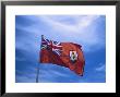 The Bermuda Flag by Francie Manning Limited Edition Pricing Art Print