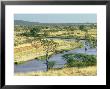 River Ewaso Ngiro, Samburu Nr, Kenya by Werner Bollmann Limited Edition Pricing Art Print