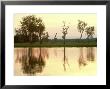 Sunset, Kakadu National Park, Australia by Robin Bush Limited Edition Pricing Art Print