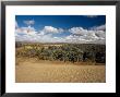 Baharia Oasis In The Desert, Egypt by Mike England Limited Edition Print