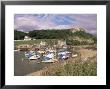 Seaton, Devon, England, United Kingdom by John Miller Limited Edition Print