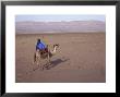 Man In Traditional Dress Riding Camel, Morocco by John & Lisa Merrill Limited Edition Pricing Art Print