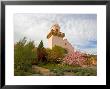 Groth Winery, Napa Valley, California, Usa by Julie Eggers Limited Edition Print