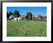 Woman Riding Horseback On Skiff Mountain, Litchfield Hills, Connecticut, Usa by Jerry & Marcy Monkman Limited Edition Print