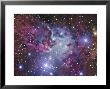 Fox Fur Nebula by Stocktrek Images Limited Edition Print