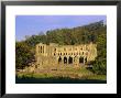 Rievaulx Abbey, Old Cistercian Abbey, Ryedale, North Yorkshire, England, Uk, Europe by John Miller Limited Edition Print