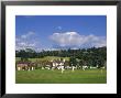Cricket On Village Green, Surrey, England by Jon Arnold Limited Edition Print