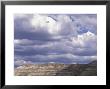 Theodore Roosevelt National Park, Badlands, Medora, North Dakota, Usa by Connie Ricca Limited Edition Pricing Art Print