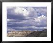 Theodore Roosevelt National Park, Badlands, Medora, North Dakota, Usa by Connie Ricca Limited Edition Print