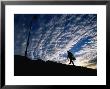 Fisherman Walking Along Sea Wall At Altona Beach, Melbourne, Australia by Will Salter Limited Edition Print