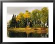 Birch And Pine Trees Along A Lake In Grass River Provincial Park by Raymond Gehman Limited Edition Print