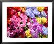 Bright And Colorful Array Of Silk Flowers At An Outdoor Flea Market by Stephen St. John Limited Edition Pricing Art Print