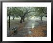 Rain Softly Falls On White Point Gardens by Rex Stucky Limited Edition Print