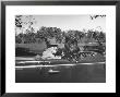 President Franklin D. Roosevelt Driving In His Convertible With His Dog Fala Through Hyde Park by George Skadding Limited Edition Print