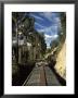 View Of Trees From The Roof Of The Train From Alausi To Riobamba, Ecuador, South America by Mark Chivers Limited Edition Print