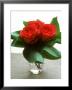 Small Bouquet With Three Red Roses by Michael Paul Limited Edition Pricing Art Print