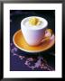 Mango Sorbet In Frozen Cup by Maja Smend Limited Edition Print