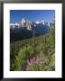 Wildflowers And Valley Of 10 Peaks, Banff National Park, Alberta, Canada by Michele Falzone Limited Edition Print