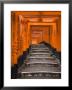 Torii Gates, Fushimi Inari Taisha Shrine, Kyoto, Honshu, Japan by Gavin Hellier Limited Edition Print