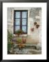 Flowers Of Private Home, Burgundy, France by Lisa S. Engelbrecht Limited Edition Print