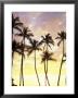 Silhouetted Palms At Sunset, Kamaole Park 1, Maui, Hawaii, Usa by Darrell Gulin Limited Edition Pricing Art Print