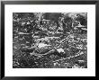 Dead Soldier At Little Round Top, Battle Of Gettysburg, 1863 by Mathew B. Brady Limited Edition Pricing Art Print