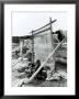 Navajo Weavers, C.1914 by William J. Carpenter Limited Edition Print