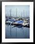 Boats In A Harbor by Stacy Gold Limited Edition Print