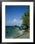 Sunbathing On The Beach In St. Lucia by Anne Keiser Limited Edition Print