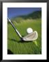 Golf Club And Ball On Fairway by Bob Winsett Limited Edition Print