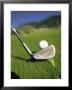 Golf Club And Ball On Fairway by Bob Winsett Limited Edition Print