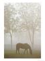 A Thoroughbred Gelding Crops The Bluegrass At The Kentucky Horse Park by Raymond Gehman Limited Edition Print