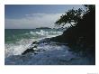 Foamy Surf On A Rocky Shore by George F. Mobley Limited Edition Print