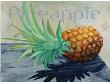 Pineapple by Claire Pavlik Purgus Limited Edition Print