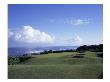 Princeville Golf Club The Prince Course, Hole 7 Coastline by Stephen Szurlej Limited Edition Pricing Art Print