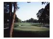 Winged Foot Golf Course, Hole 3 by Stephen Szurlej Limited Edition Print